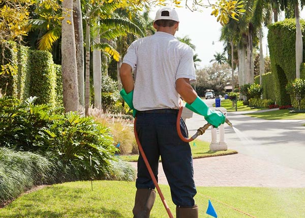 About Glen Easton WV Pest Control